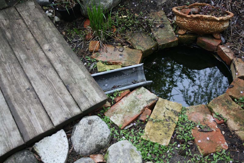 Regnvands overløb i egen have